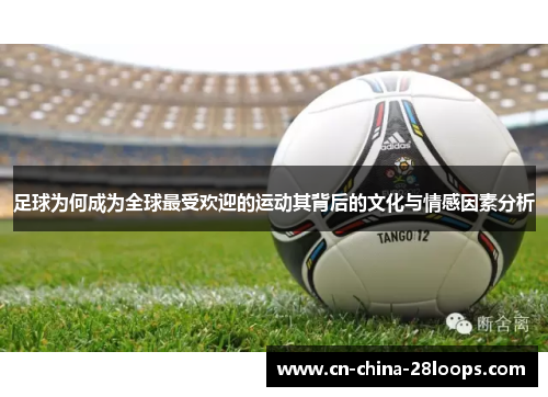 足球为何成为全球最受欢迎的运动其背后的文化与情感因素分析