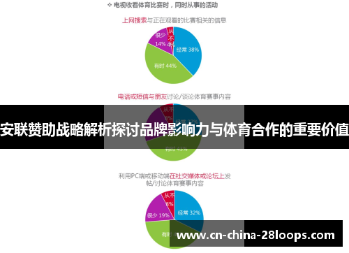 安联赞助战略解析探讨品牌影响力与体育合作的重要价值