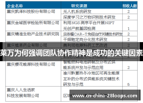 莱万为何强调团队协作精神是成功的关键因素