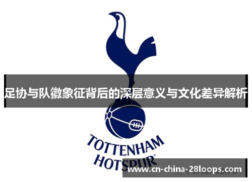 足协与队徽象征背后的深层意义与文化差异解析