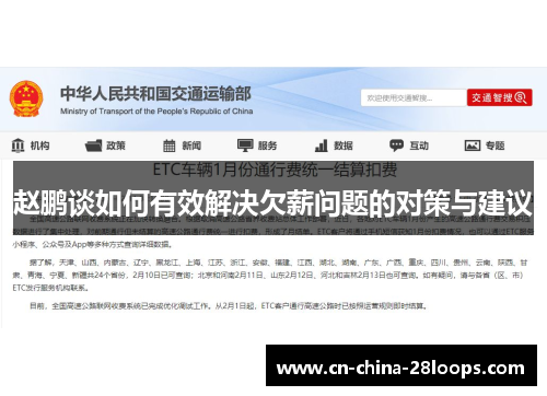 赵鹏谈如何有效解决欠薪问题的对策与建议